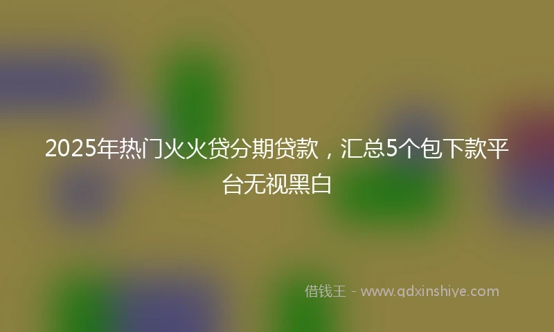 2025年热门火火贷分期贷款，汇总5个包下款平台无视黑白