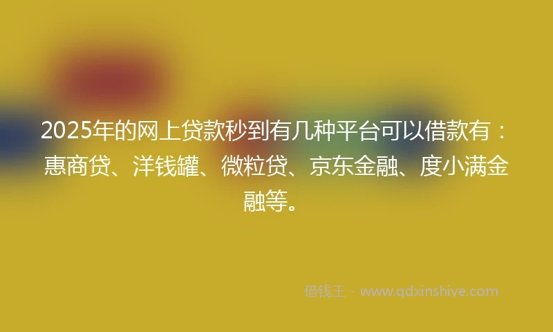 2025年的网上贷款秒到有几种平台可以借款有：惠商贷、洋钱罐、微粒贷、京东金融、度小满金融等。