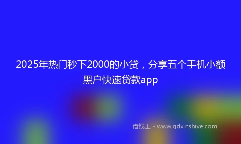 2025年热门秒下2000的小贷，分享五个手机小额黑户快速贷款app