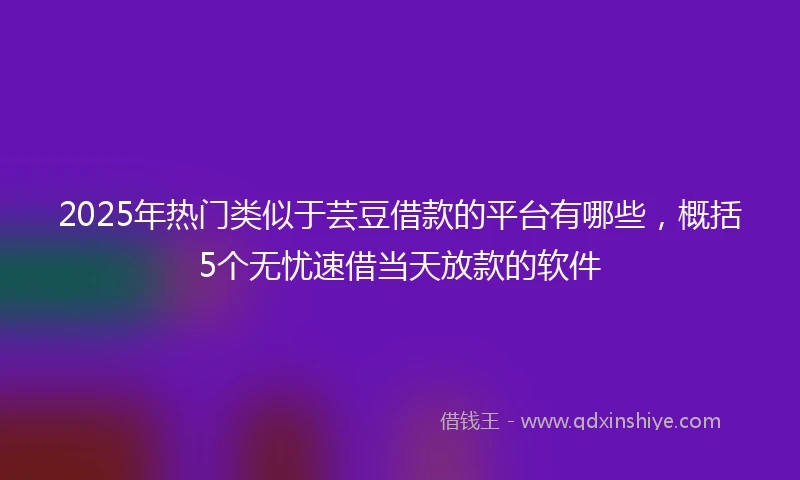 2025年热门类似于芸豆借款的平台有哪些，概括5个无忧速借当天放款的软件