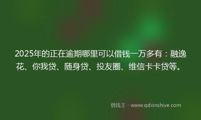 2025年的正在逾期哪里可以借钱一万多有：融逸花、你我贷、随身贷、投友圈、维信卡卡贷等。