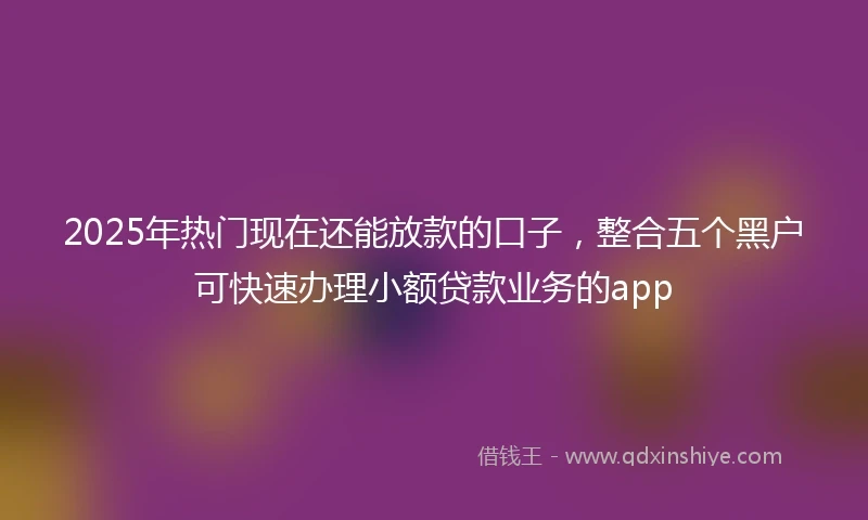 2025年热门现在还能放款的口子，整合五个黑户可快速办理小额贷款业务的app