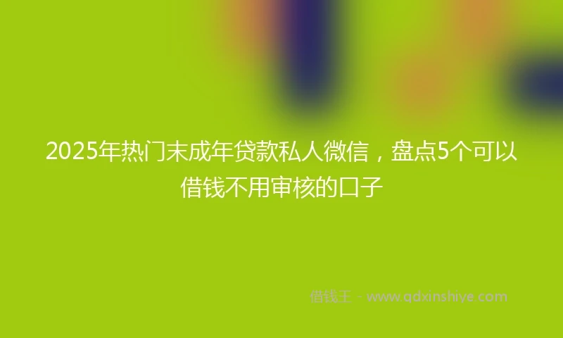 2025年热门末成年贷款私人微信，盘点5个可以借钱不用审核的口子