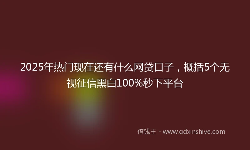 2025年热门现在还有什么网贷口子，概括5个无视征信黑白100%秒下平台