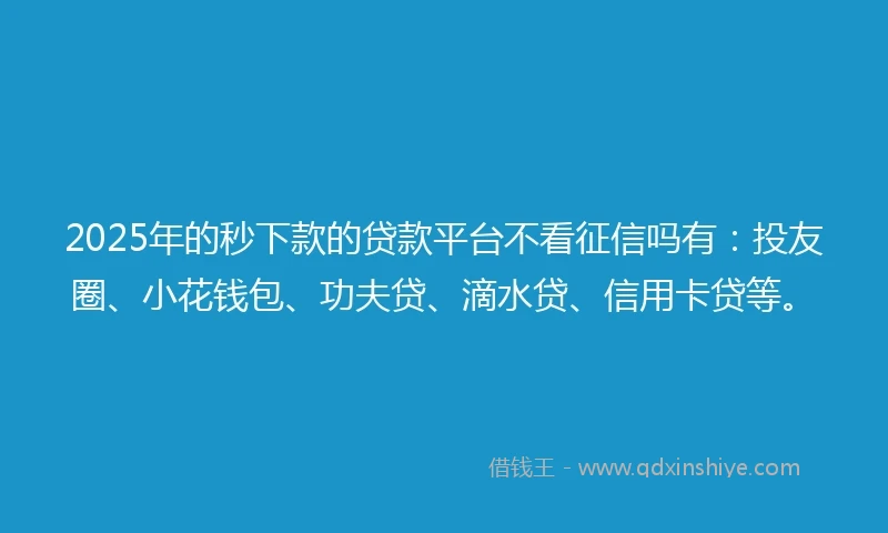 2025年的秒下款的贷款平台不看征信吗有：投友圈、小花钱包、功夫贷、滴水贷、信用卡贷等。
