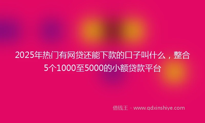 2025年热门有网贷还能下款的口子叫什么，整合5个1000至5000的小额贷款平台