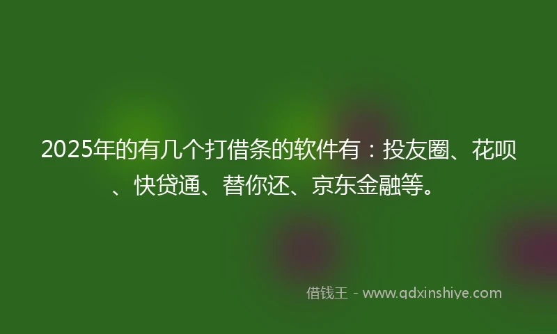 2025年的有几个打借条的软件有：投友圈、花呗、快贷通、替你还、京东金融等。