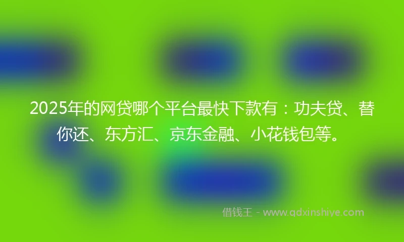 2025年的网贷哪个平台最快下款有：功夫贷、替你还、东方汇、京东金融、小花钱包等。