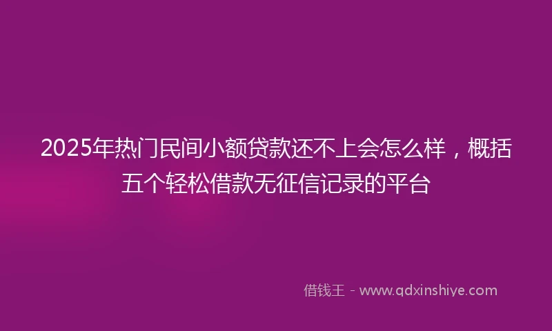 2025年热门民间小额贷款还不上会怎么样，概括五个轻松借款无征信记录的平台