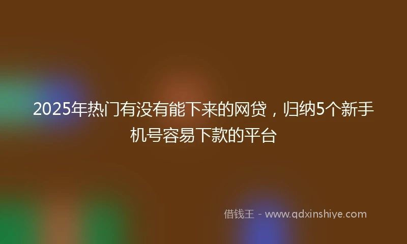 2025年热门有没有能下来的网贷，归纳5个新手机号容易下款的平台