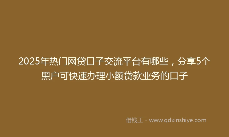 2025年热门网贷口子交流平台有哪些，分享5个黑户可快速办理小额贷款业务的口子