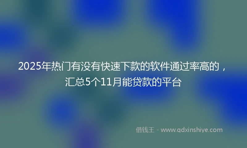 2025年热门有没有快速下款的软件通过率高的，汇总5个11月能贷款的平台