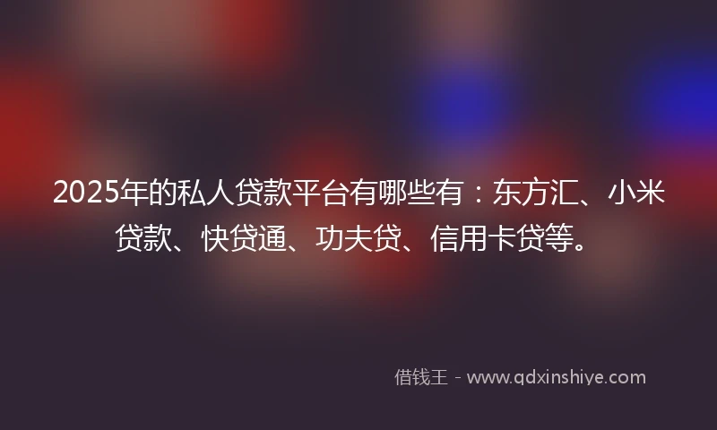 2025年的私人贷款平台有哪些有：东方汇、小米贷款、快贷通、功夫贷、信用卡贷等。