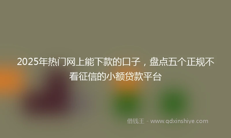 2025年热门网上能下款的口子,盘点五个正规不看征信的小额贷款平台