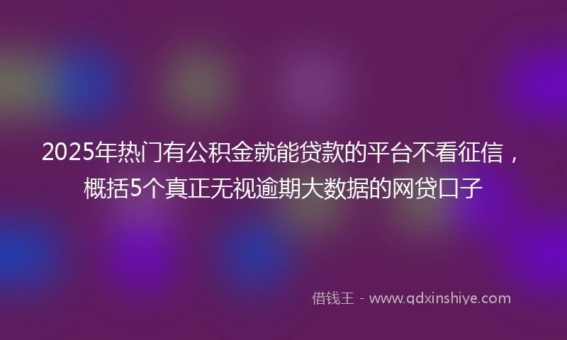 2025年热门有公积金就能贷款的平台不看征信，概括5个真正无视逾期大数据的网贷口子