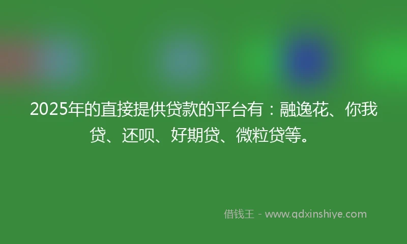 2025年的直接提供贷款的平台有：融逸花、你我贷、还呗、好期贷、微粒贷等。
