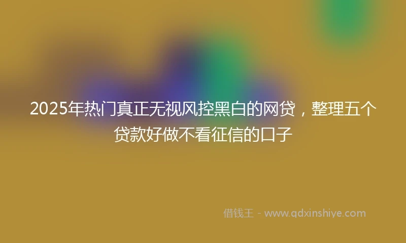 2025年热门真正无视风控黑白的网贷，整理五个贷款好做不看征信的口子