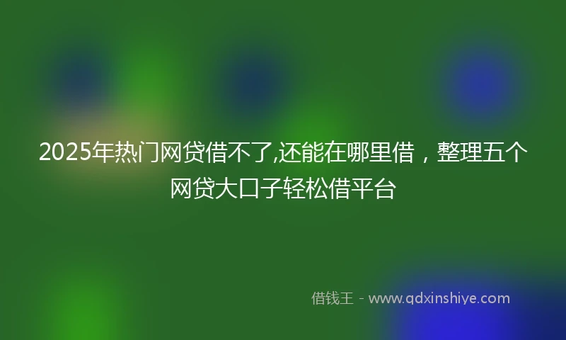 2025年热门网贷借不了,还能在哪里借，整理五个网贷大口子轻松借平台