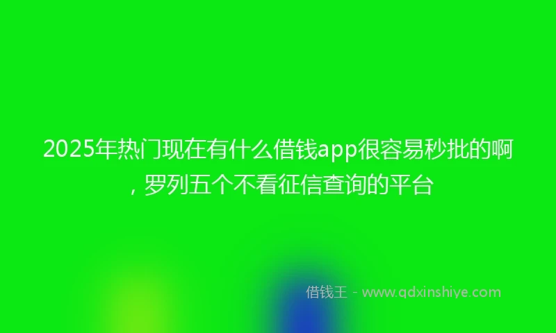 2025年热门现在有什么借钱app很容易秒批的啊，罗列五个不看征信查询的平台