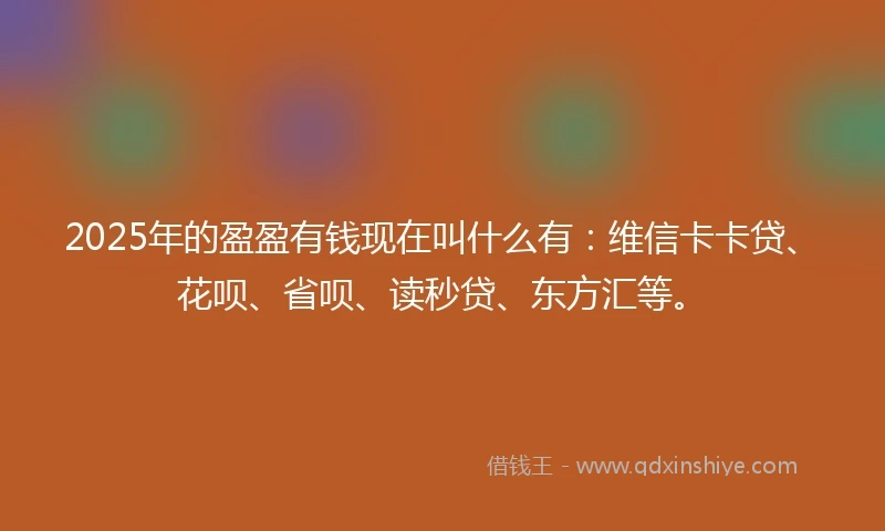 2025年的盈盈有钱现在叫什么有：维信卡卡贷、花呗、省呗、读秒贷、东方汇等。