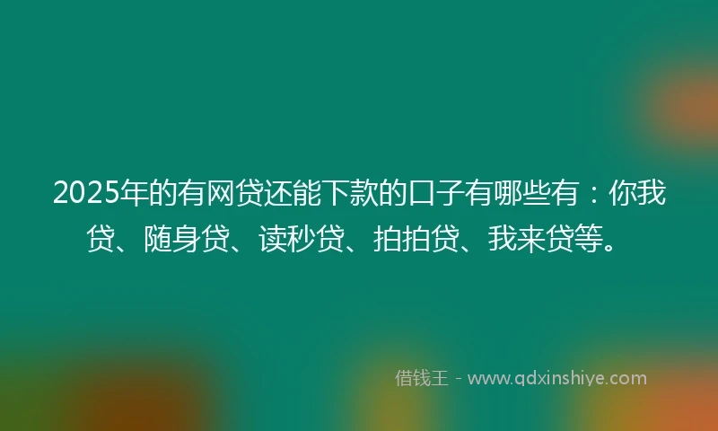 2025年的有网贷还能下款的口子有哪些有：你我贷、随身贷、读秒贷、拍拍贷、我来贷等。