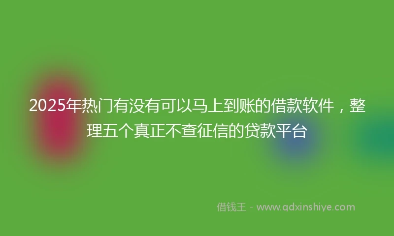 2025年热门有没有可以马上到账的借款软件，整理五个真正不查征信的贷款平台