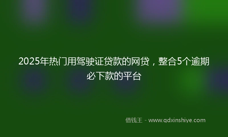 2025年热门用驾驶证贷款的网贷，整合5个逾期必下款的平台