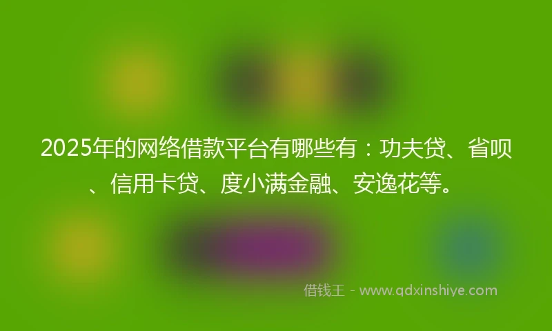 2025年的网络借款平台有哪些有：功夫贷、省呗、信用卡贷、度小满金融、安逸花等。