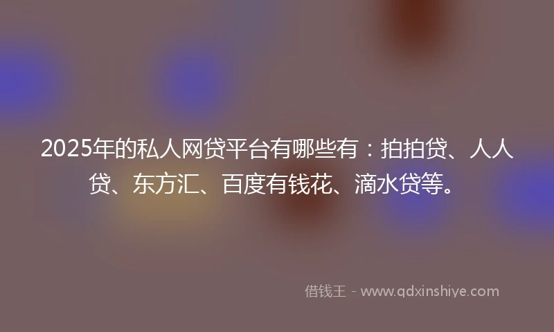 2025年的私人网贷平台有哪些有：拍拍贷、人人贷、东方汇、百度有钱花、滴水贷等。