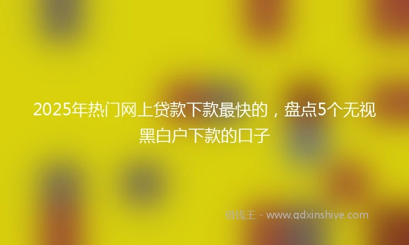 2025年热门网上贷款下款最快的，盘点5个无视黑白户下款的口子