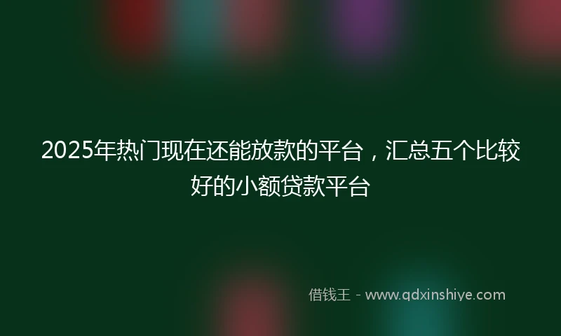 2025年热门现在还能放款的平台，汇总五个比较好的小额贷款平台