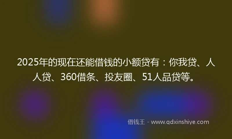 2025年的现在还能借钱的小额贷有：你我贷、人人贷、360借条、投友圈、51人品贷等。
