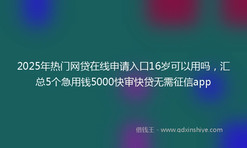 2025年热门网贷在线申请入口16岁可以用吗，汇总5个急用钱5000快审快贷无需征信app