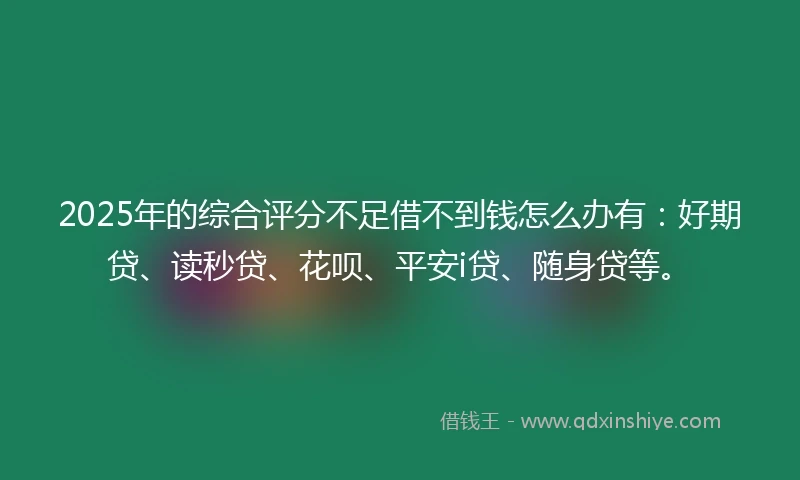 2025年的综合评分不足借不到钱怎么办有：好期贷、读秒贷、花呗、平安i贷、随身贷等。