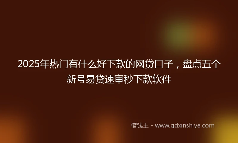2025年热门有什么好下款的网贷口子，盘点五个新号易贷速审秒下款软件