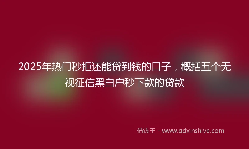 2025年热门秒拒还能贷到钱的口子，概括五个无视征信黑白户秒下款的贷款