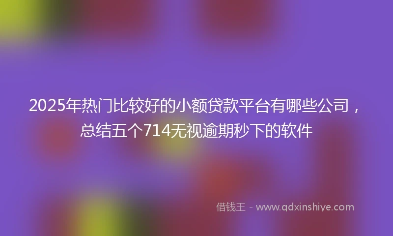 2025年热门比较好的小额贷款平台有哪些公司，总结五个714无视逾期秒下的软件