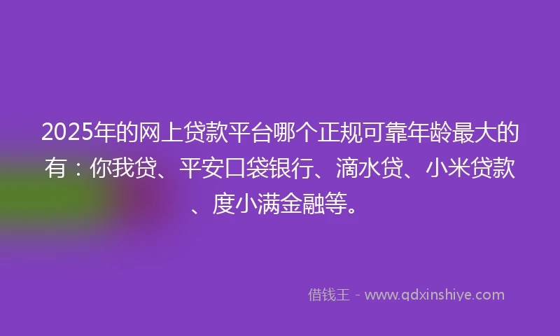 2025年的网上贷款平台哪个正规可靠年龄最大的有：你我贷、平安口袋银行、滴水贷、小米贷款、度小满金融等。
