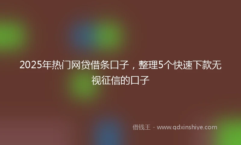 2025年热门网贷借条口子，整理5个快速下款无视征信的口子