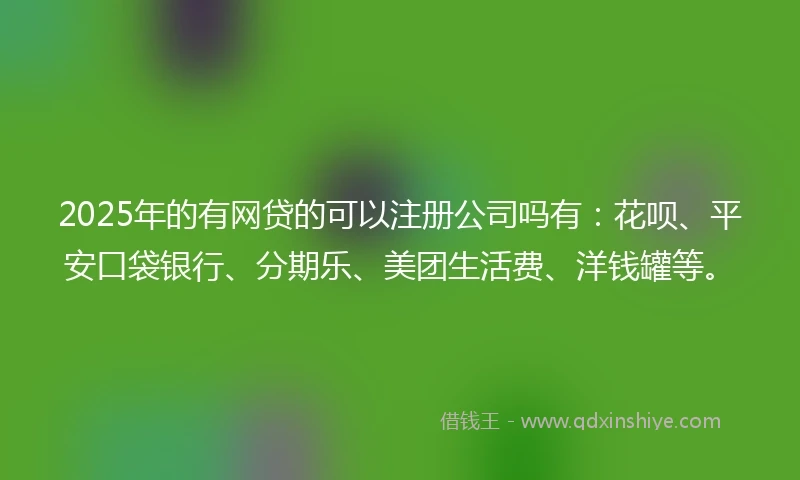 2025年的有网贷的可以注册公司吗有：花呗、平安口袋银行、分期乐、美团生活费、洋钱罐等。