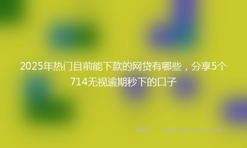 2025年热门目前能下款的网贷有哪些，分享5个714无视逾期秒下的口子