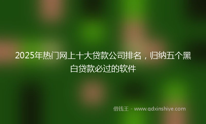 2025年热门网上十大贷款公司排名,归纳五个黑白贷款必过的软件