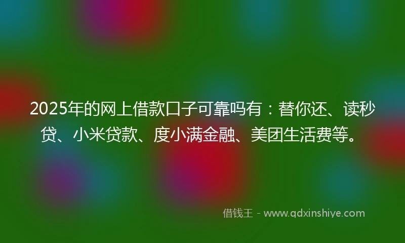 2025年的网上借款口子可靠吗有：替你还、读秒贷、小米贷款、度小满金融、美团生活费等。