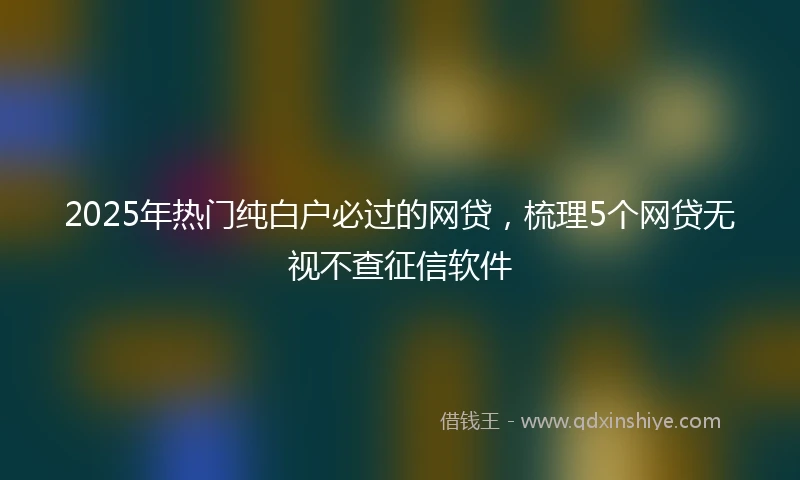 2025年热门纯白户必过的网贷，梳理5个网贷无视不查征信软件