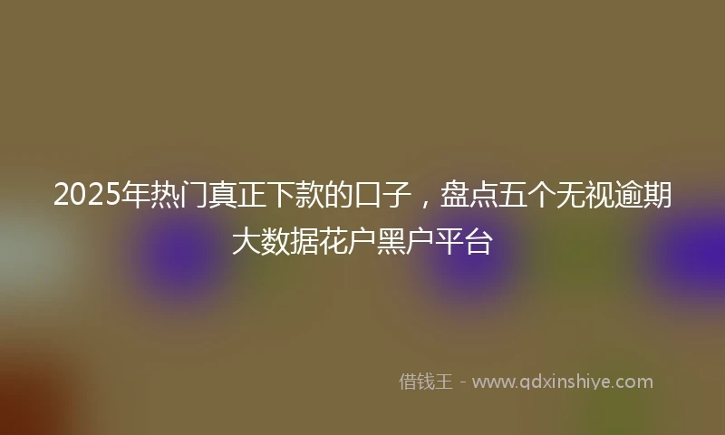 2025年热门真正下款的口子，盘点五个无视逾期大数据花户黑户平台