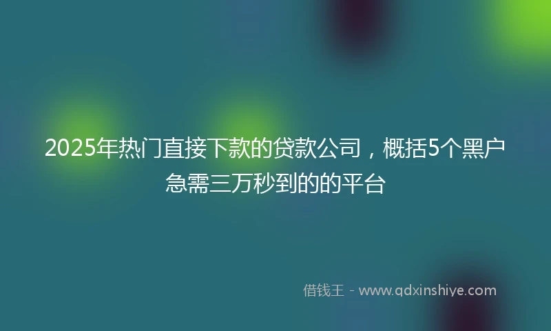 2025年热门直接下款的贷款公司，概括5个黑户急需三万秒到的的平台