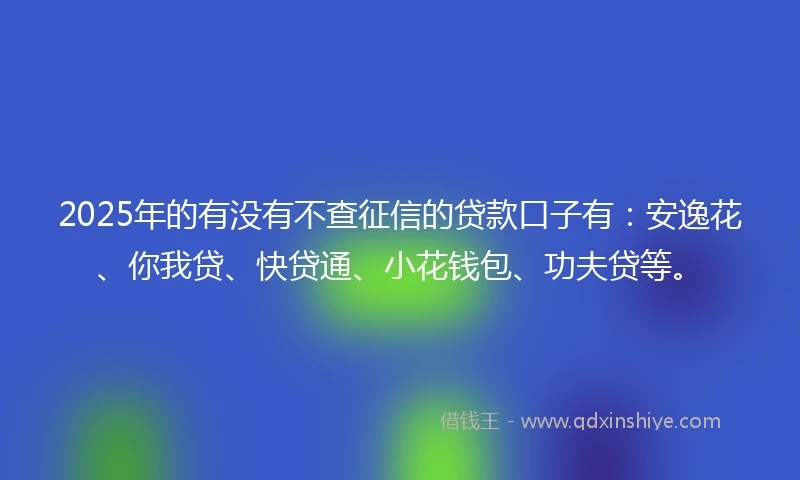 2025年的有没有不查征信的贷款口子有：安逸花、你我贷、快贷通、小花钱包、功夫贷等。