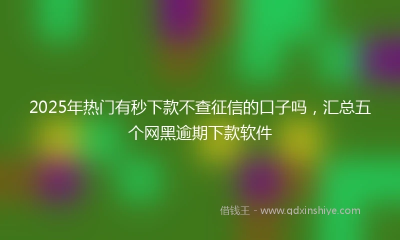 2025年热门有秒下款不查征信的口子吗，汇总五个网黑逾期下款软件