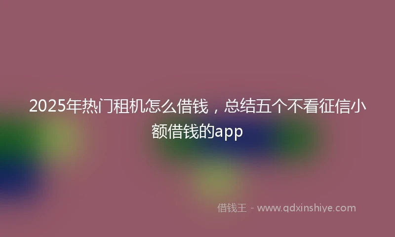 2025年热门租机怎么借钱，总结五个不看征信小额借钱的app