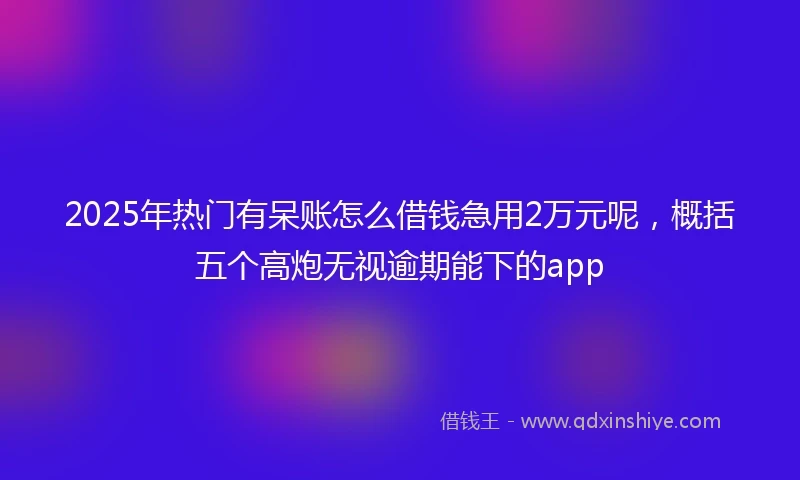 2025年热门有呆账怎么借钱急用2万元呢，概括五个高炮无视逾期能下的app